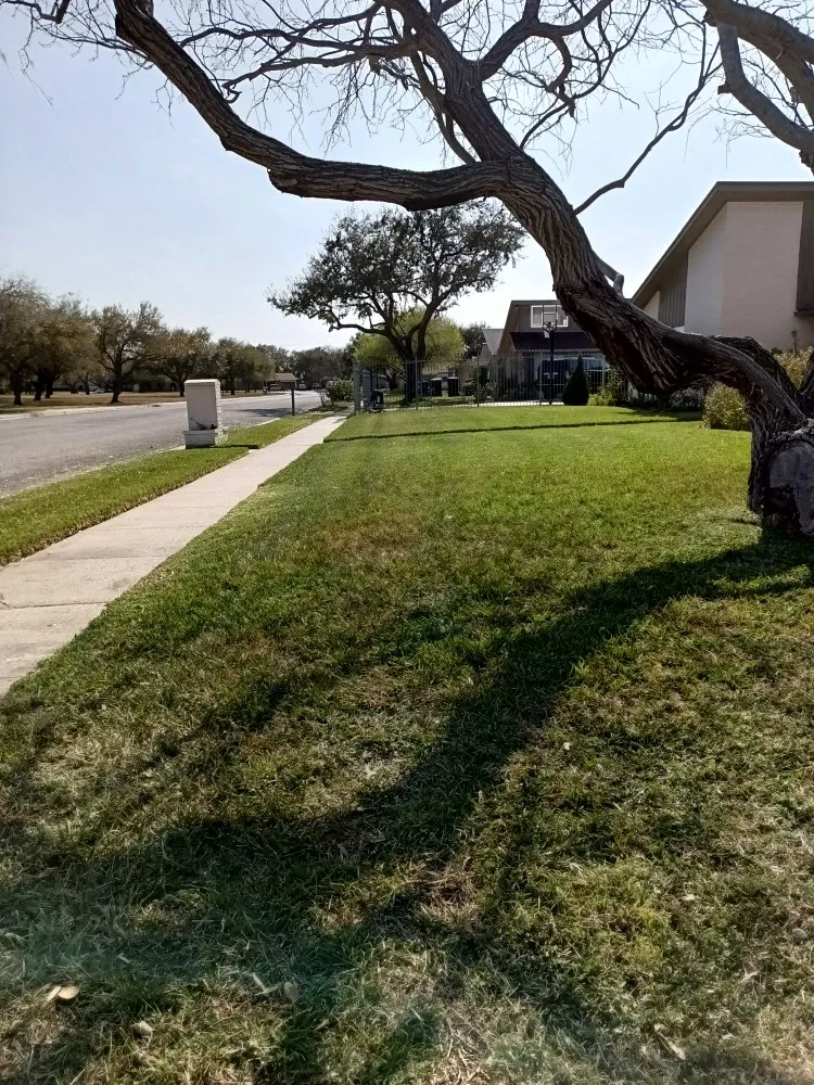 Trusted landscape installation with custom design across Corp Christi, TX - Ramirez Lawn Care