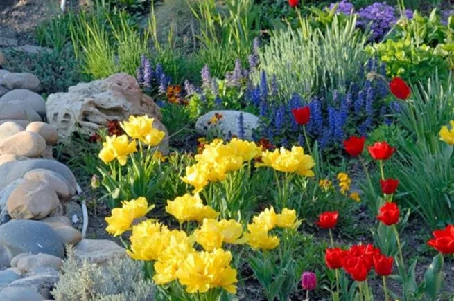 Expert landscape installation in Bessemer City, NC - Ramirez Lawn Maintenance