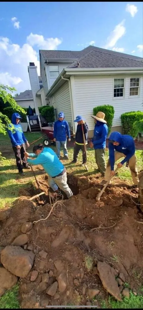 Affordable yard cleanup service in Passaic, NJ - Ramirez Lawn Maintenance