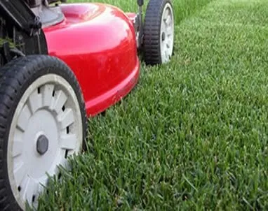 Ramirez Lawn Service Logo