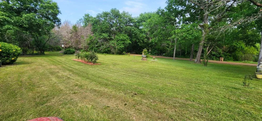 Professional yard cleanup service for year-round maintenance across Elkhart, TX - Ramirez Lawn Service