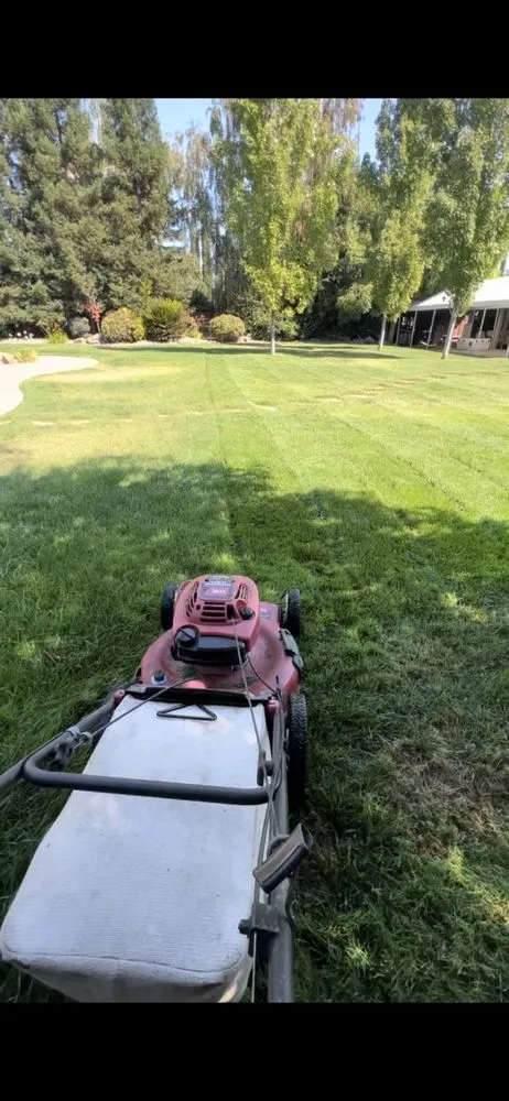Trusted yard cleanup service for beautiful yards across Stockton, CA - Ramirez Lawn Service