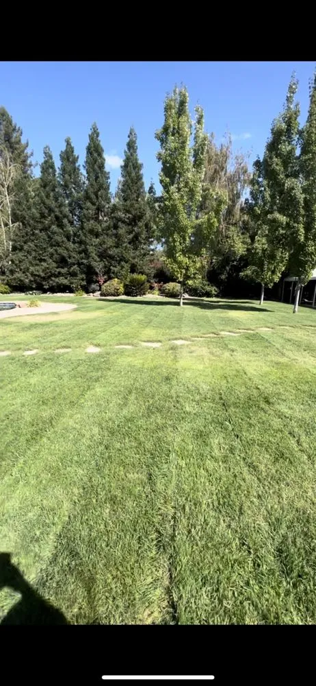 Trusted lawn care service in Stockton, CA - Ramirez Lawn Service