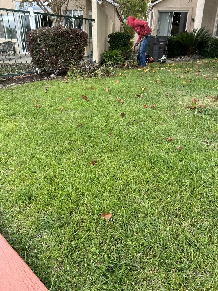 Professional residential landscaping in Stockton, CA - Ramirez Lawn Service