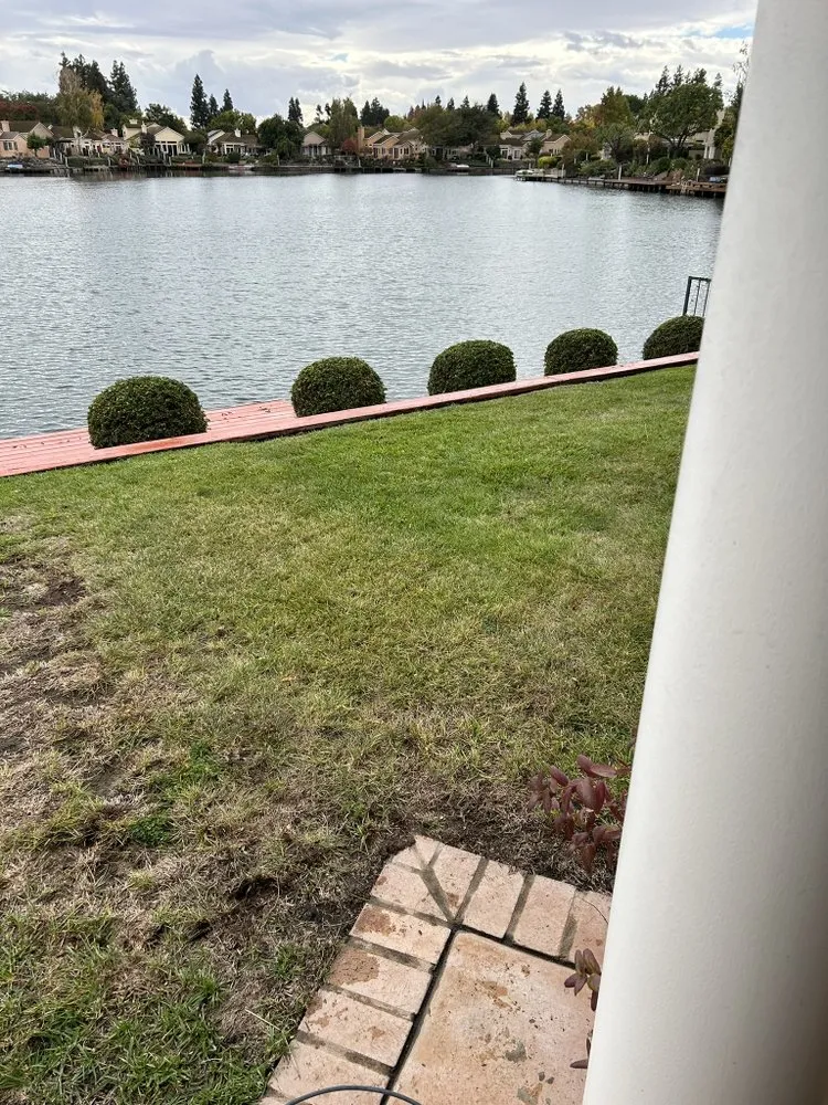 Top-rated landscape installation for residential properties in Stockton, CA by Ramirez Lawn Service