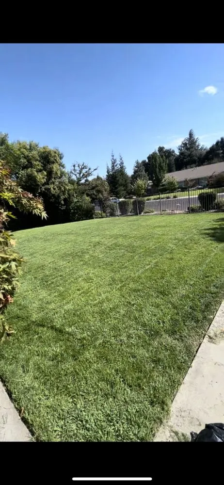 Custom lawn care service in Stockton, CA by Ramirez Lawn Service