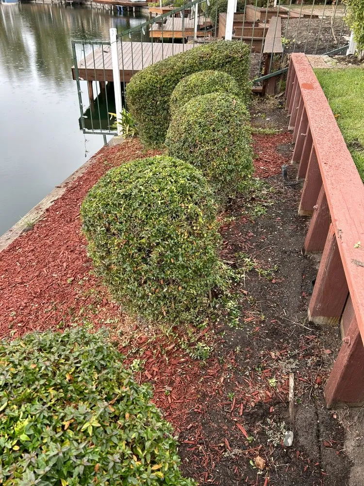 Local landscaping services for homes in Stockton, CA by Ramirez Lawn Service