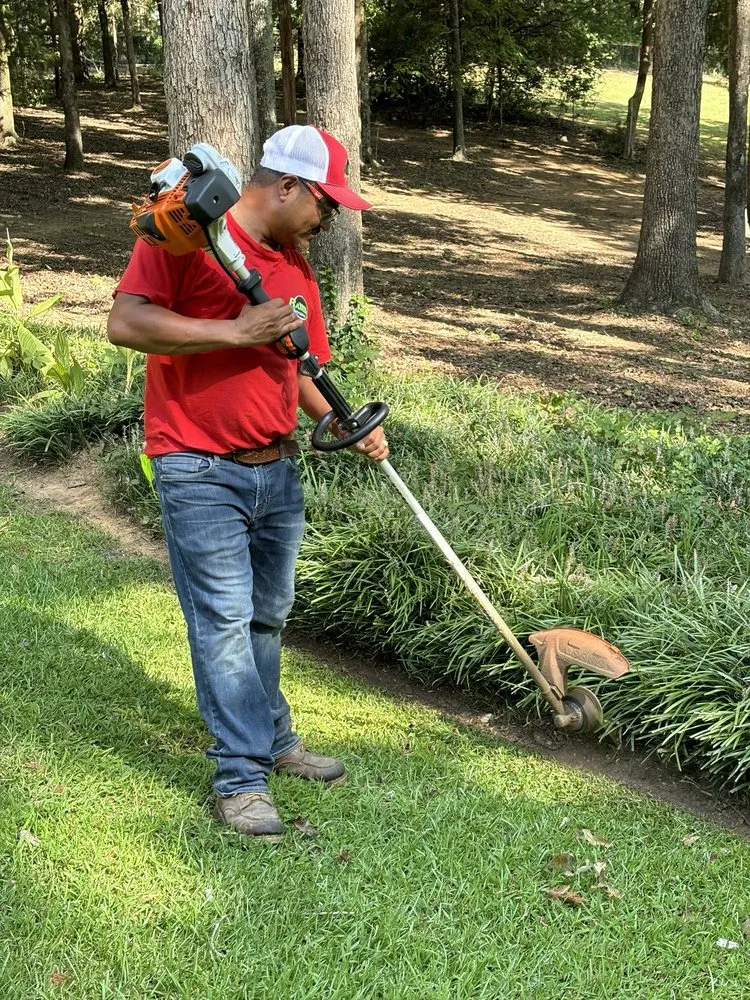 Expert yard cleanup service experts serving Winnsboro, SC - Ramirez Lawn Service