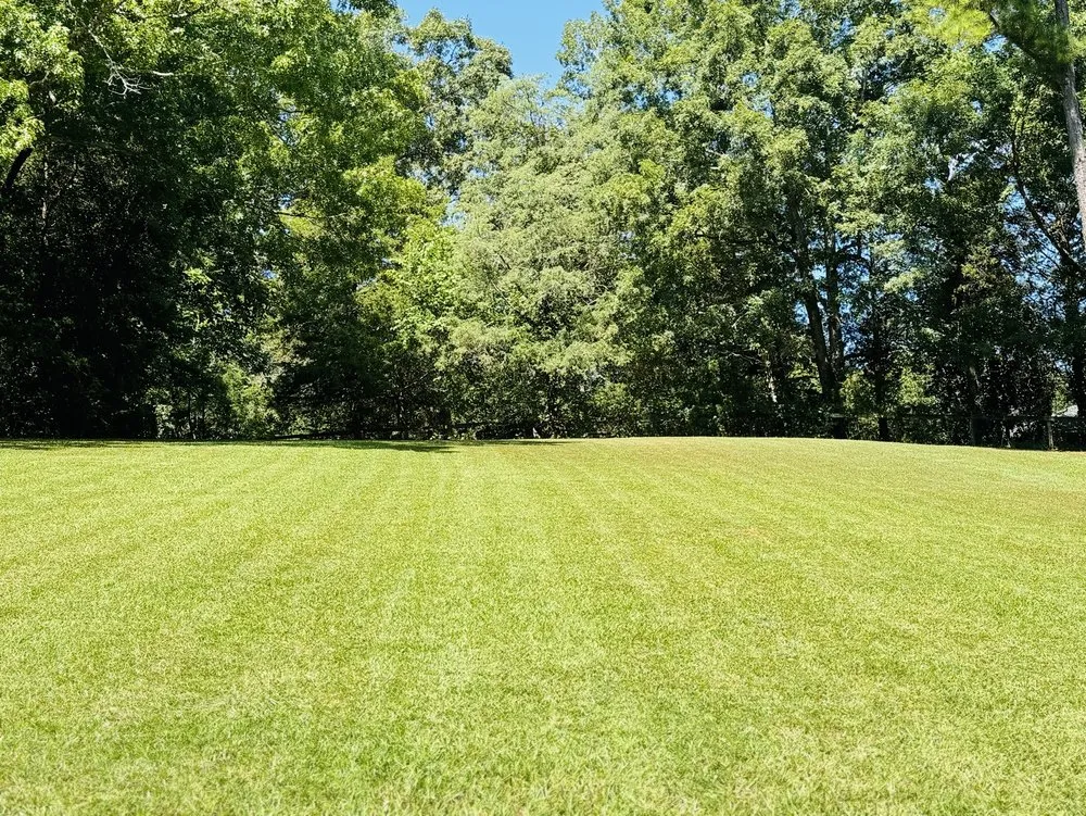 Top-rated lawn care service with custom design across Winnsboro, SC - Ramirez Lawn Service
