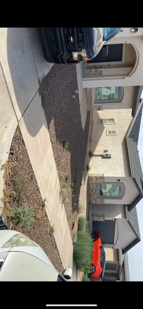 Custom landscaping services for year-round maintenance across Socorro, TX - Ramirez Lawn Services