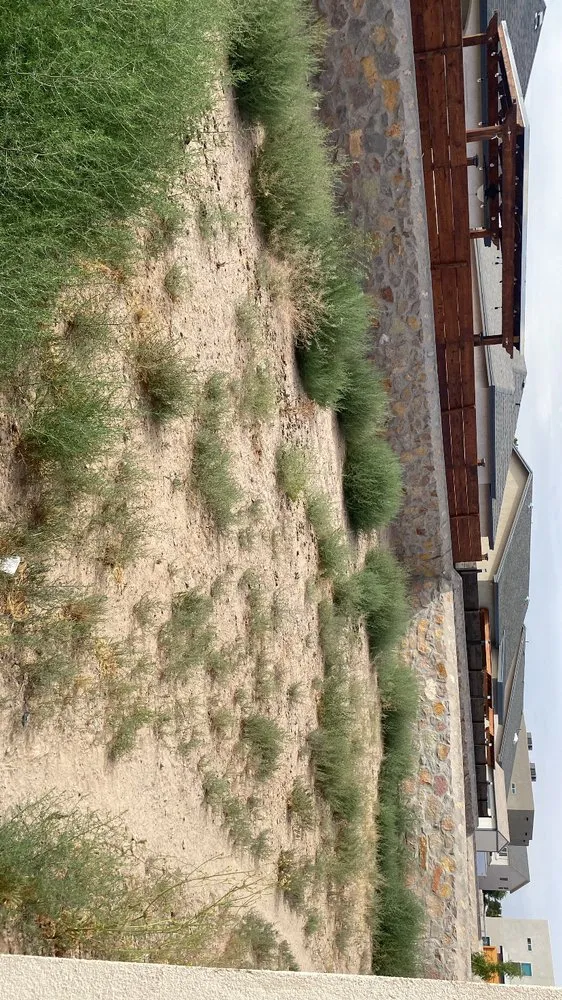 Affordable garden landscaping near you in Socorro, TX by Ramirez Lawn Services