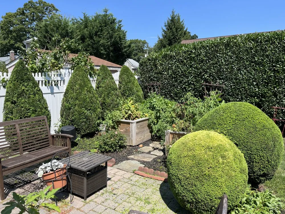 Professional yard cleanup service experts serving Uniondale, NY - Ramirez lawn services