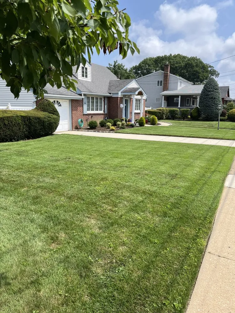 Local yard cleanup service experts serving Uniondale, NY - Ramirez lawn services