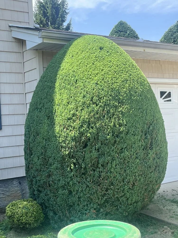 Trusted landscape installation near you across Uniondale, NY - Ramirez lawn services