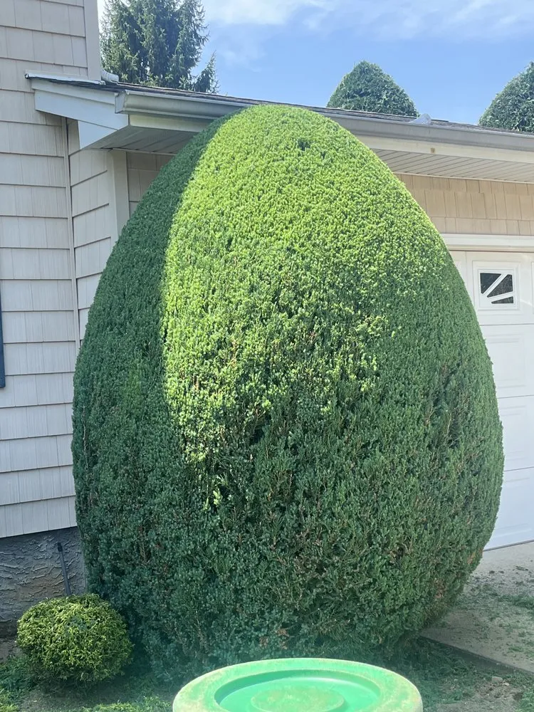 Local landscaping services experts serving Uniondale, NY - Ramirez lawn services