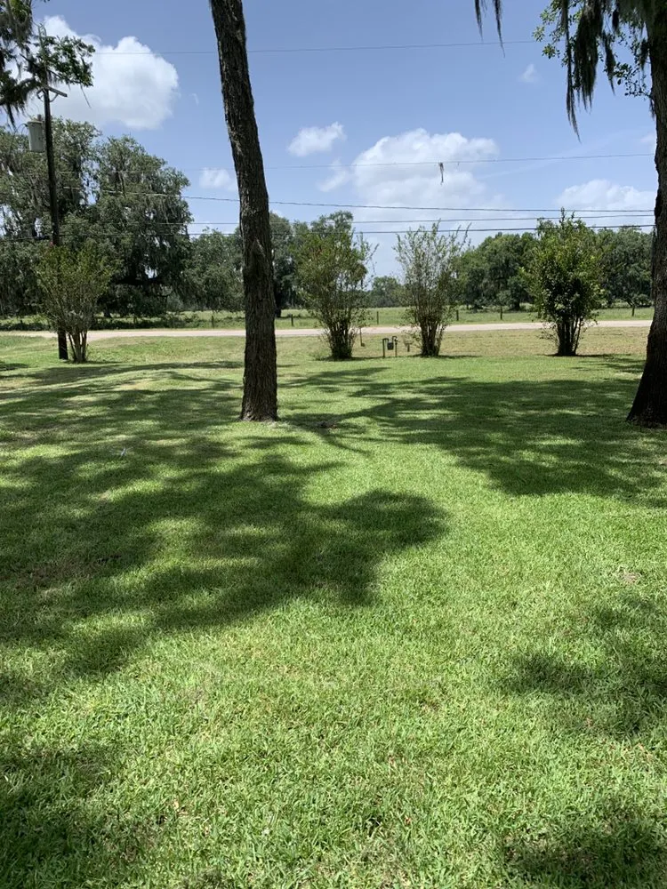 Local landscaping services for homes in Alvin, TX by Ramirez lawncare