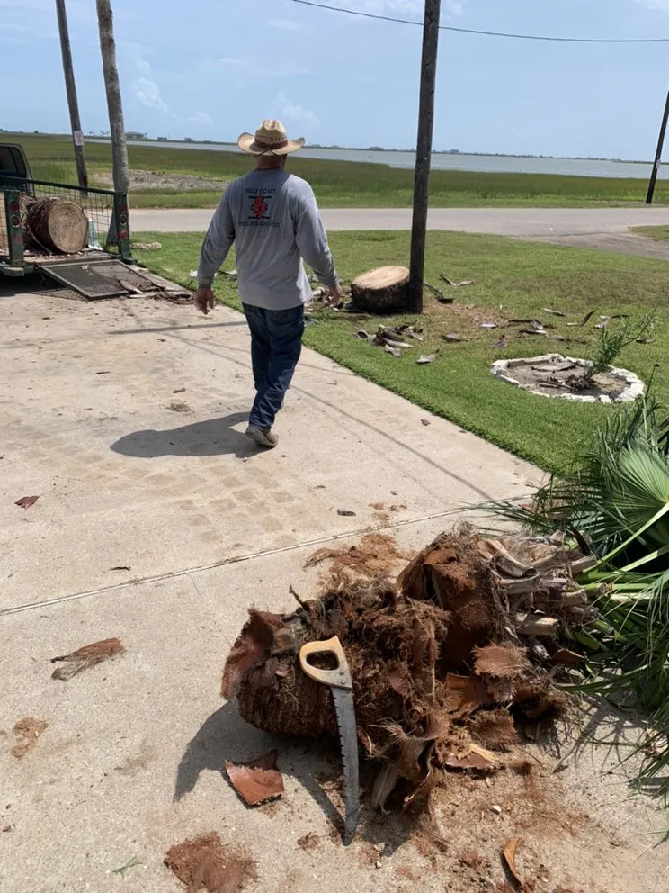 Affordable lawn care service experts serving Alvin, TX - Ramirez lawncare