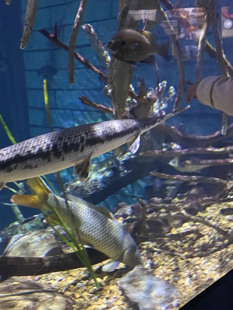 Professional outdoor landscaping for homes in Cleveland, TN by Ramirez Lawncare