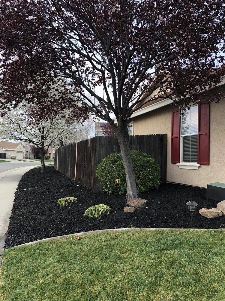 Custom outdoor landscaping for outdoor upgrades in Lincoln, CA by Ramirez Lawns