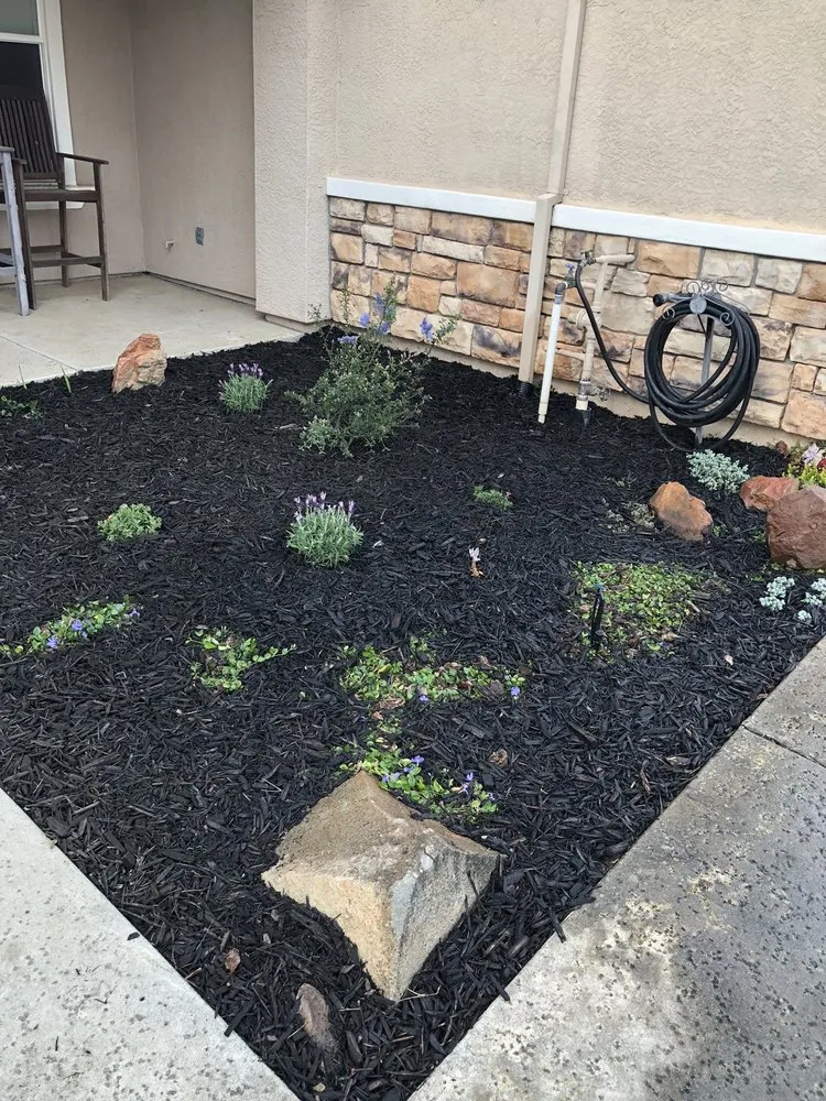 Affordable landscaping services experts serving Lincoln, CA - Ramirez Lawns