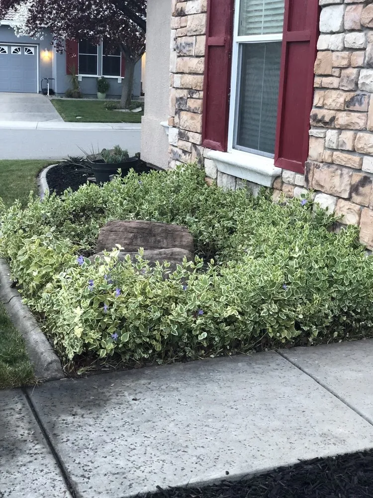 Reliable lawn mowing service in Lincoln, CA by Ramirez Lawns