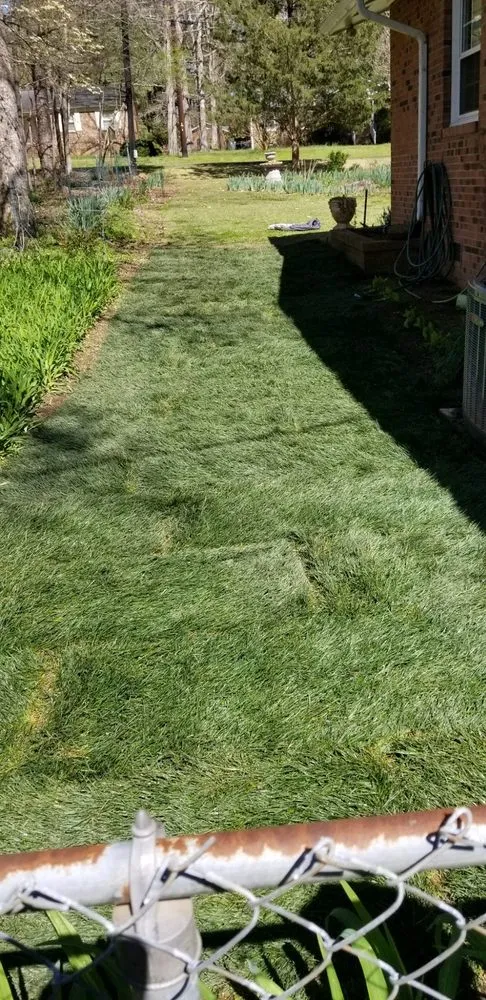 Affordable landscaping services in Hillsborough, NC - Ramirez Martinez Landscaping