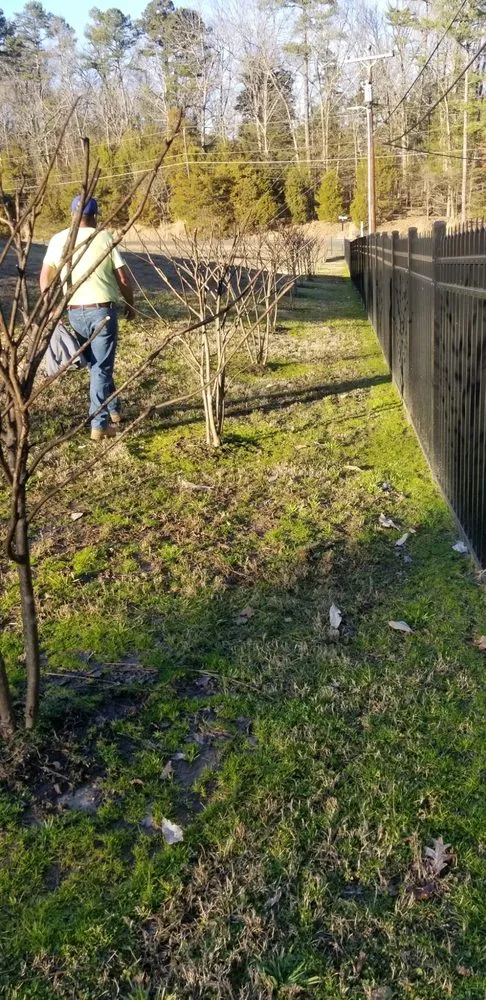 Reliable residential landscaping for homes across Hillsborough, NC - Ramirez Martinez Landscaping