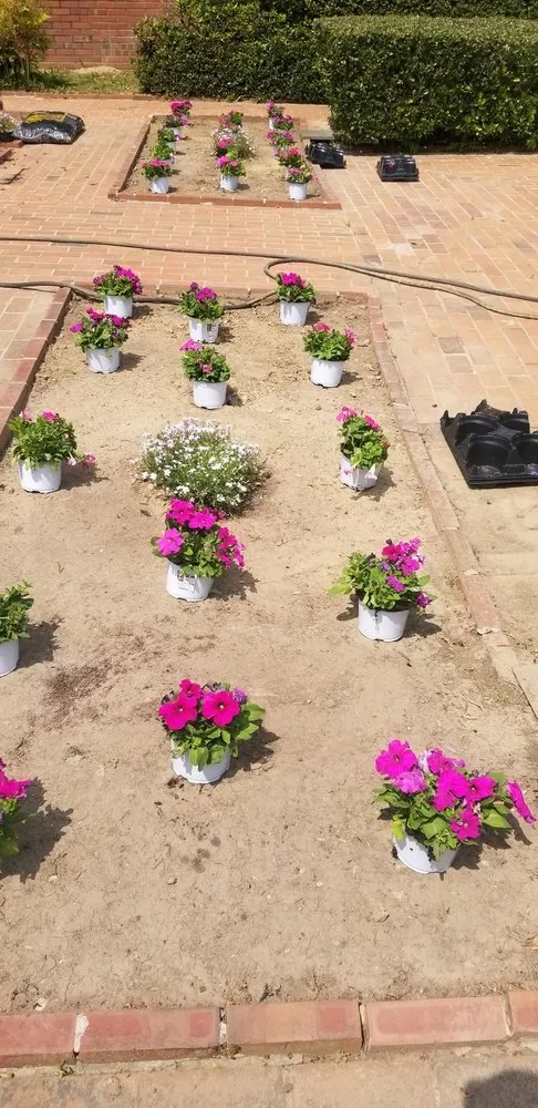 Custom landscape design in Hillsborough, NC by Ramirez Martinez Landscaping