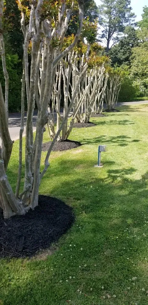 Custom landscape design in Hillsborough, NC by Ramirez Martinez Landscaping