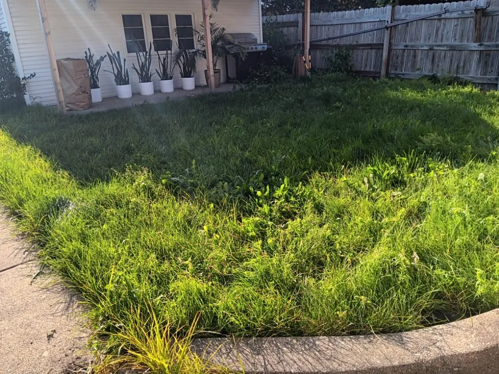 Local lawn care service in Elmwood Park, IL - Ramirez Mowing & Garden