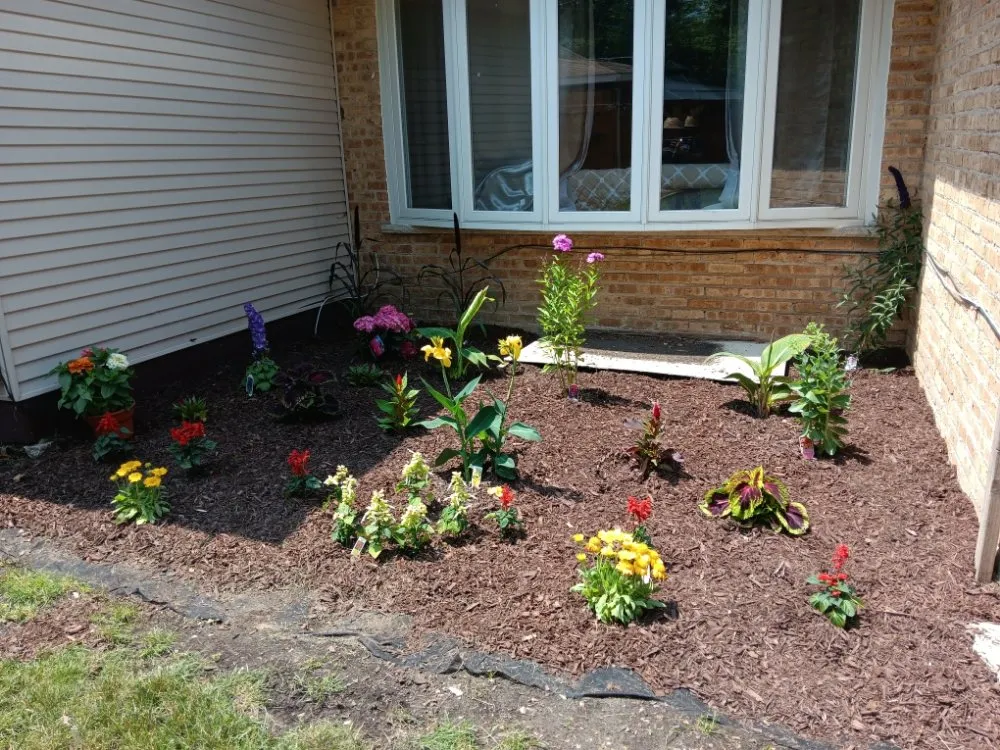 Local yard cleanup service in Elmwood Park, IL - Ramirez Mowing & Garden