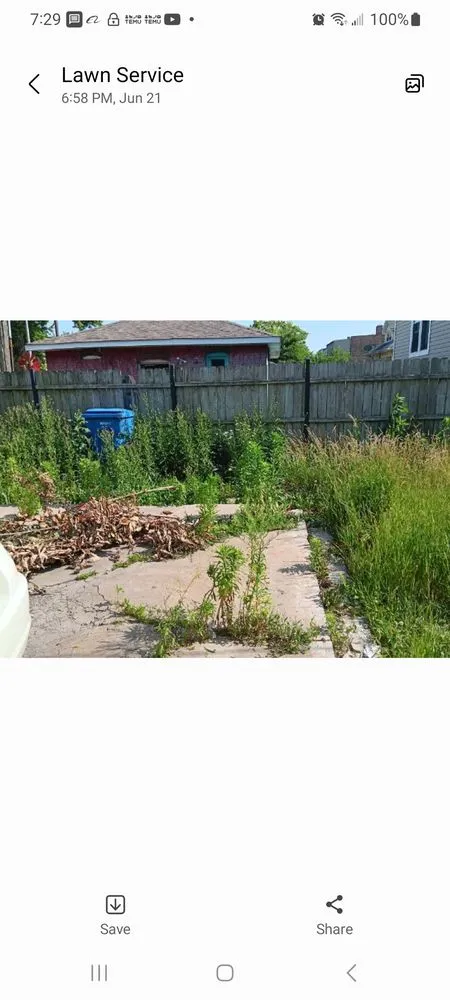 Reliable outdoor landscaping for beautiful yards across Elmwood Park, IL - Ramirez Mowing & Garden