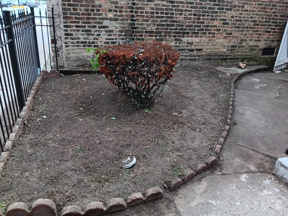 Custom landscape installation in Elmwood Park, IL by Ramirez Mowing & Garden