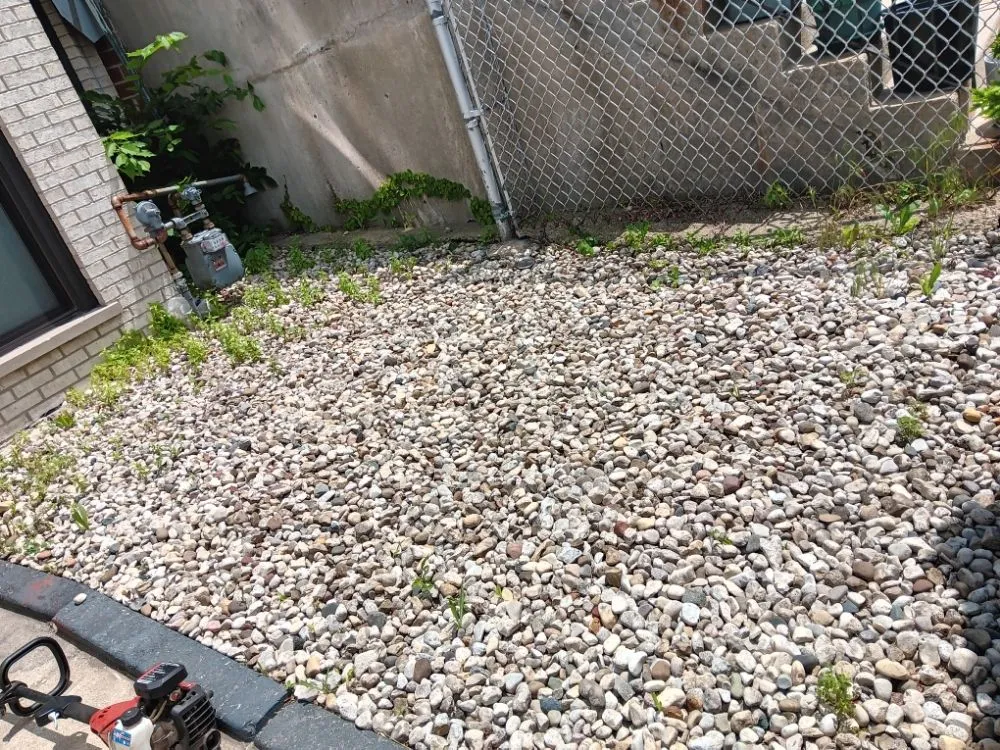 Affordable yard maintenance in Elmwood Park, IL by Ramirez Mowing & Garden