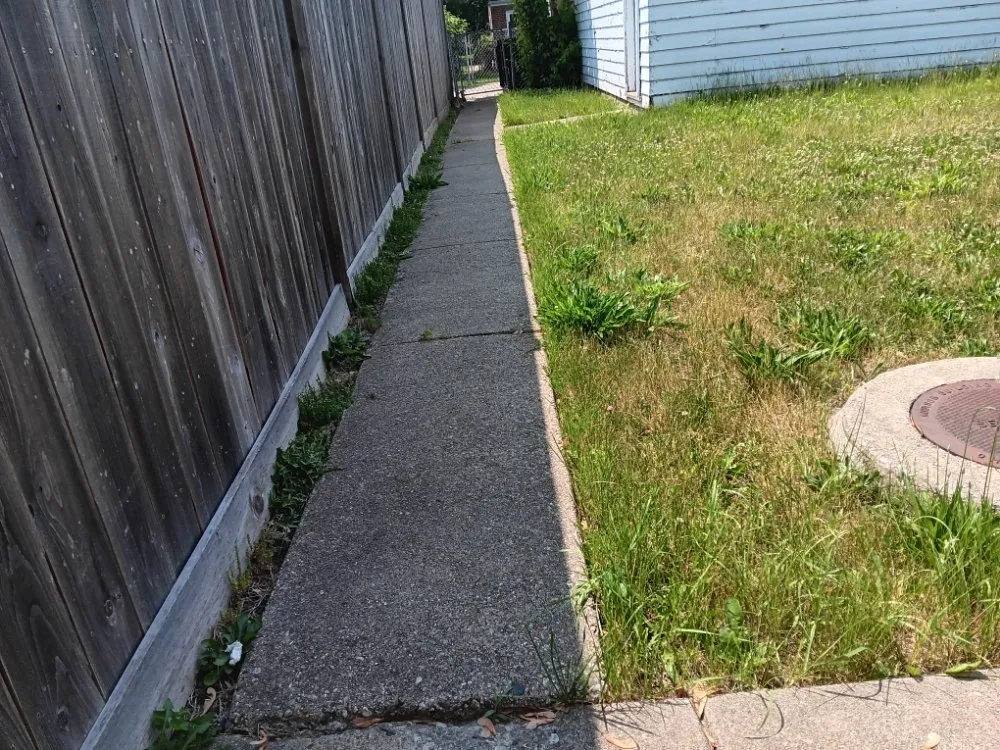 Expert yard cleanup service experts serving Elmwood Park, IL - Ramirez Mowing & Garden