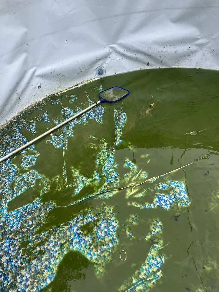 Local landscaping services in Chilhowie, VA by Ramirez Pool & Lawn Services