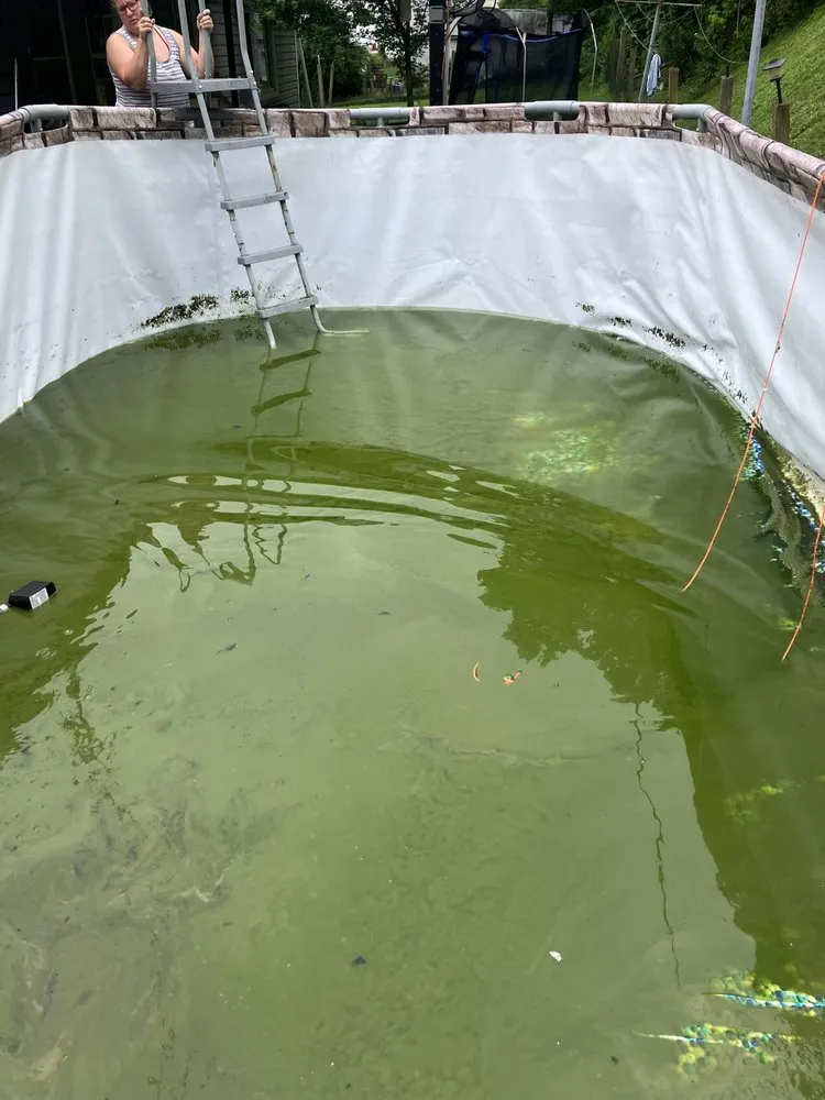 Reliable landscaping services for residential properties across Chilhowie, VA - Ramirez Pool & Lawn Services