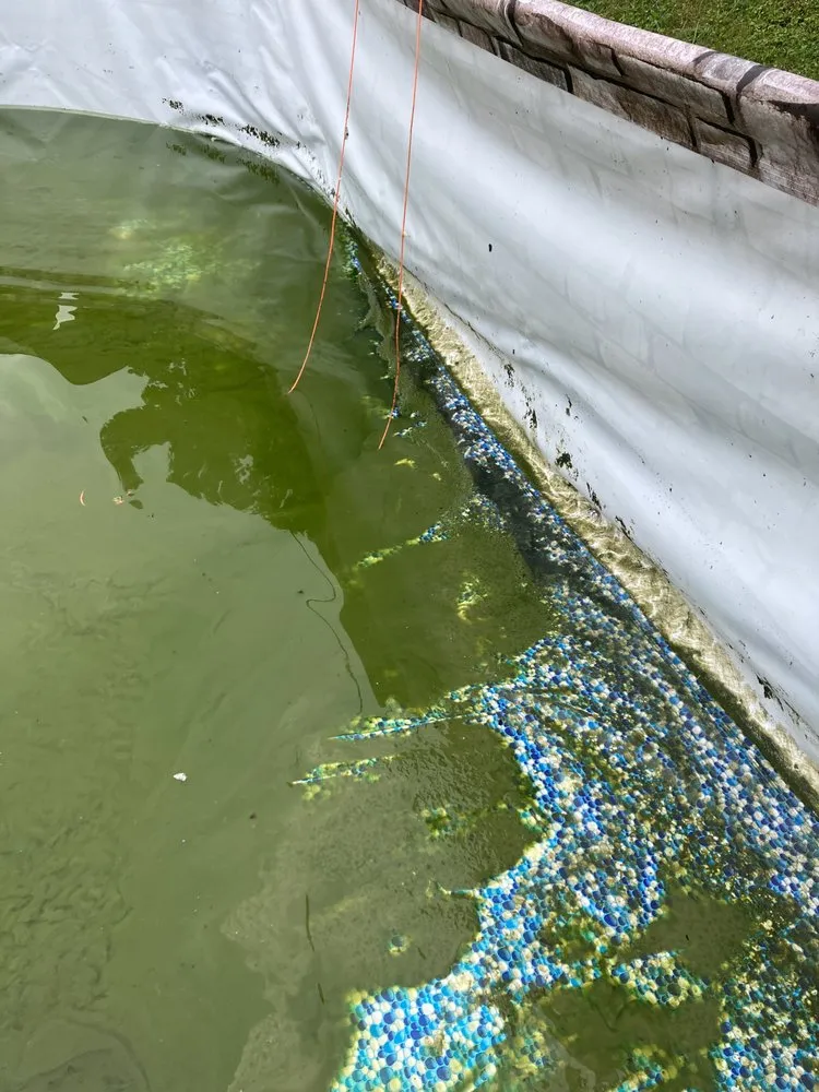 Top-rated yard maintenance with custom design in Chilhowie, VA by Ramirez Pool & Lawn Services