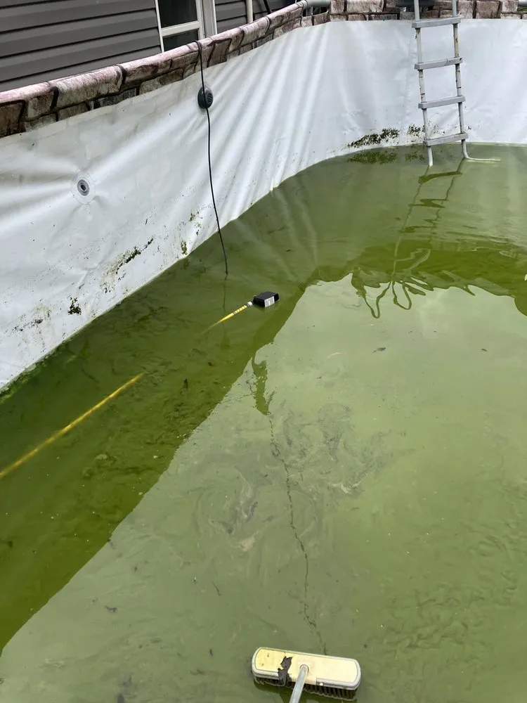 Local garden landscaping experts serving Chilhowie, VA - Ramirez Pool & Lawn Services