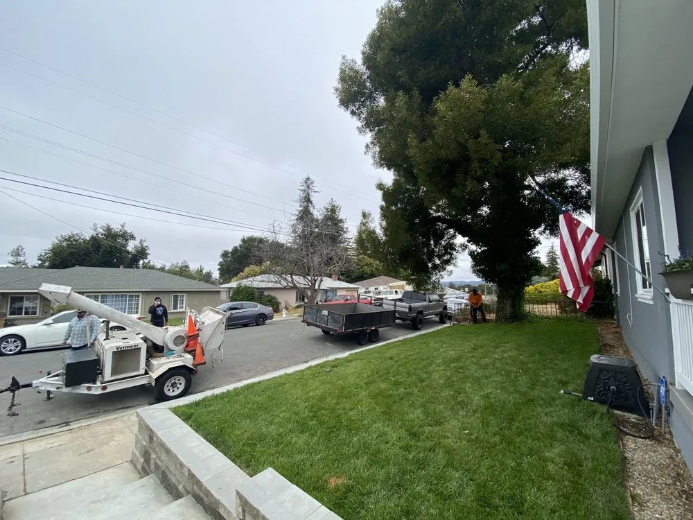 Professional residential landscaping experts serving Hayward, CA - Ramirez Professional Tree Service