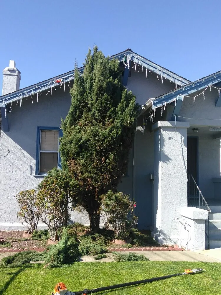 Top-rated garden landscaping in Hayward, CA by Ramirez Professional Tree Service