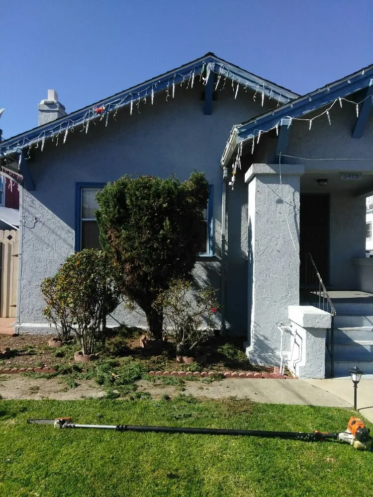 Top-rated landscape design near you in Hayward, CA by Ramirez Professional Tree Service