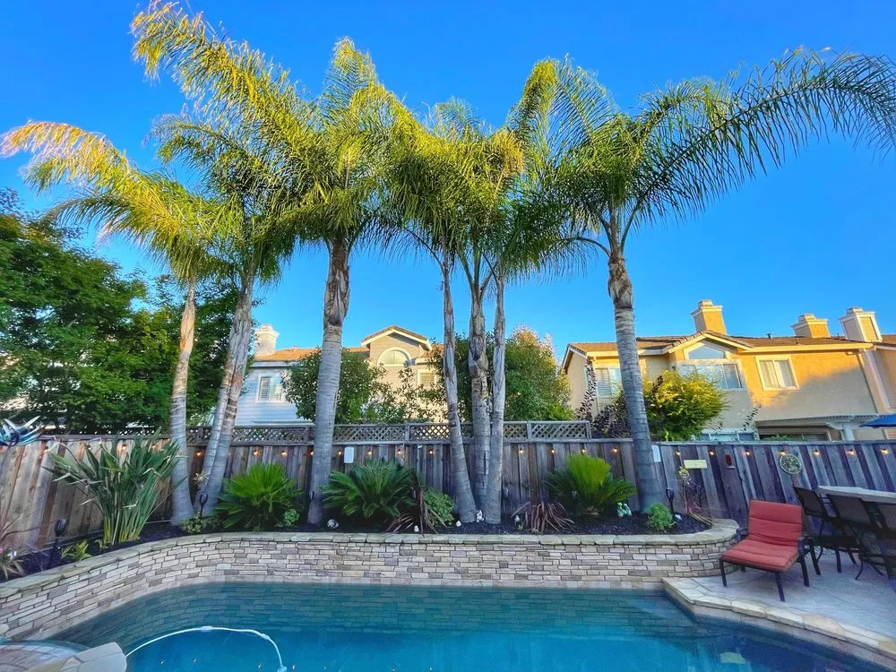 Top-rated landscape installation experts serving Hayward, CA - Ramirez Professional Tree Service