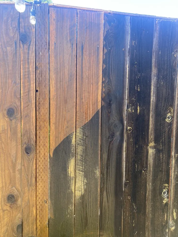 Top-rated landscaping services near you in Hayward, CA by Ramirez Professional Tree Service