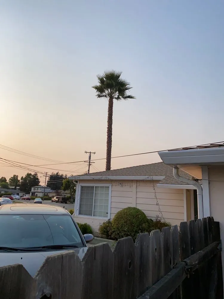 Trusted landscape design experts serving Hayward, CA - Ramirez Professional Tree Service