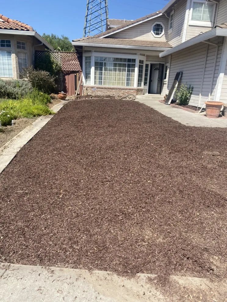 Custom landscape design experts serving Hayward, CA - Ramirez Professional Tree Service