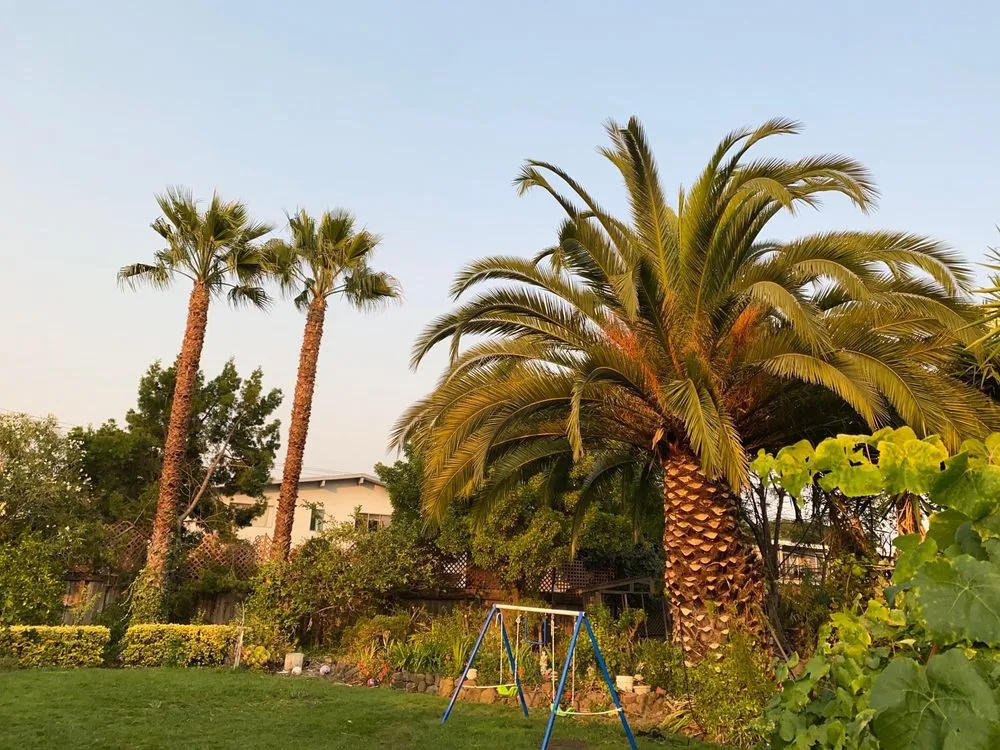 Affordable garden landscaping experts serving Hayward, CA - Ramirez Professional Tree Service