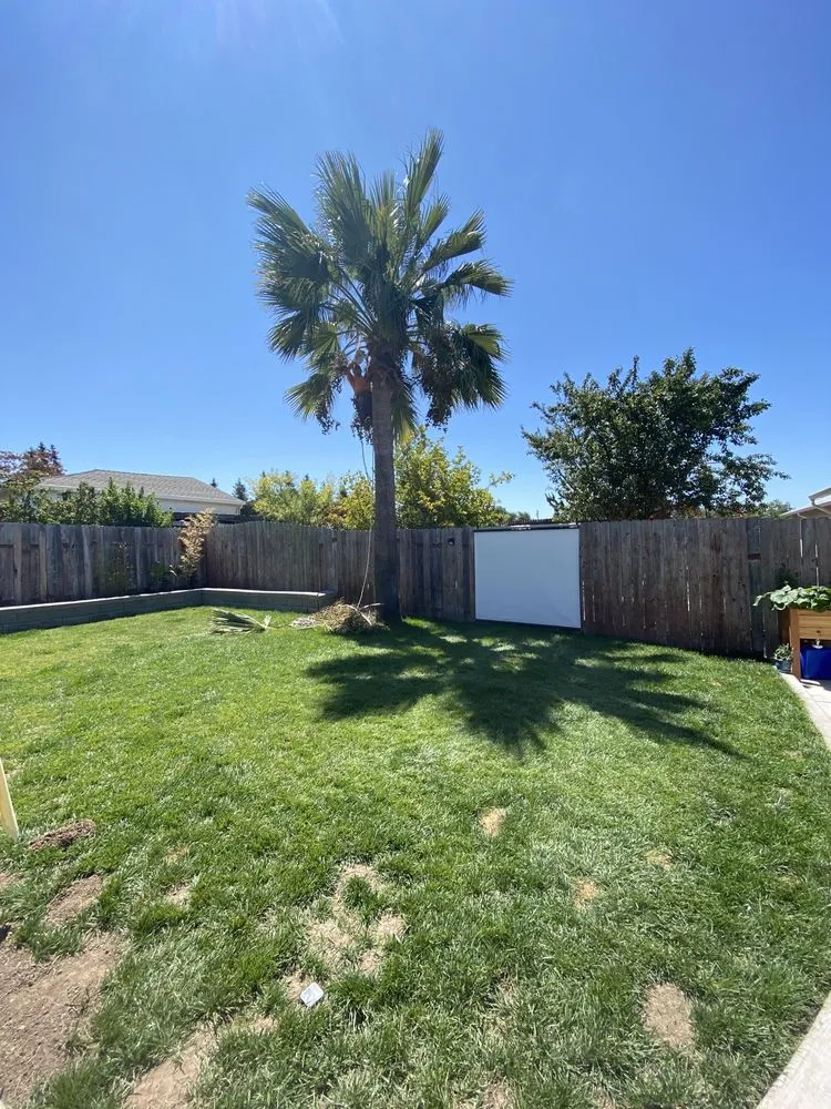 Top-rated lawn care service for year-round maintenance across Hayward, CA - Ramirez Professional Tree Service