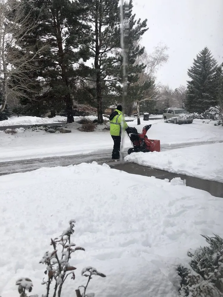 Affordable yard maintenance in Carson City, NV by Ramirez Property Care