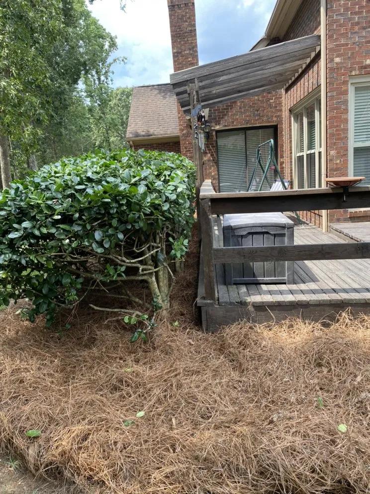 Trusted landscape design for year-round maintenance across Matthews, NC - Ramirez Residential Work